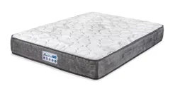 Flash Sale Basika Maestria