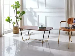 Best Sale Basika Max