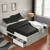 Best Basika Michigan